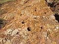 Hohokam bedrock mortars at Indian Kitchen, Arizona.