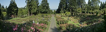 International Rose Test Garden