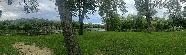 The riparian environment present on Island Park is reflective of this area around the river valley.