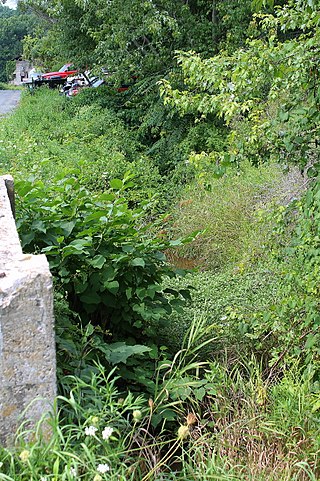 <span class="mw-page-title-main">Jackson Creek (Susquehanna River tributary)</span> River