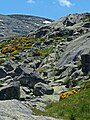 Sierra de Gredos