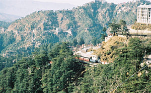 Shimla