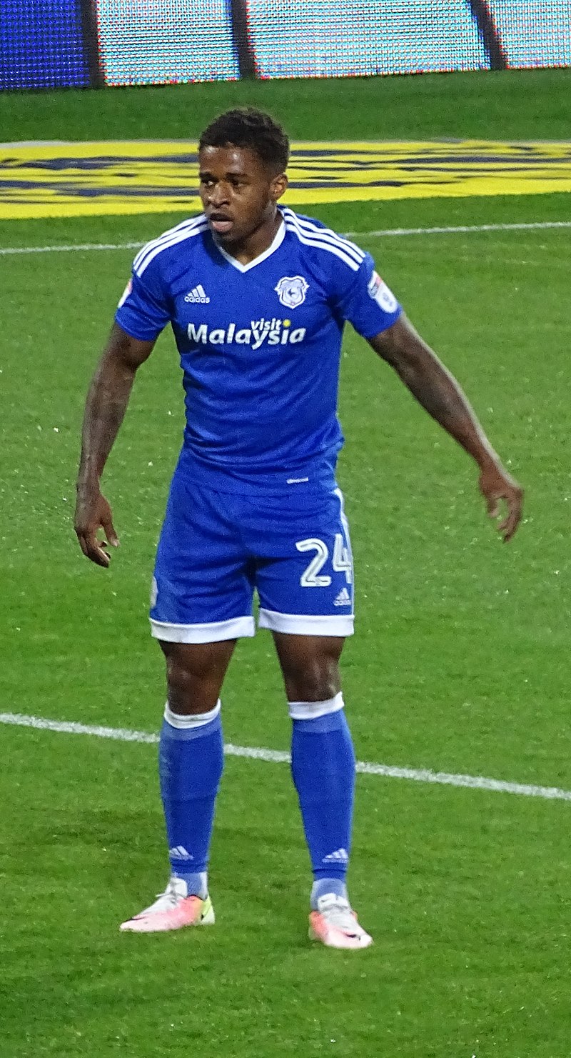 List of Cardiff City F.C. players - Wikipedia