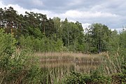 Deutsch: Karlstein am Main, Naturdenkmal "Langer See" im "LSG in den Gemarkungen Kahl am Main und Alzenau in Ufr." English: Karlstein am Main, Natural monument 'Langer See' in 'LSG in den Gemarkungen Kahl am Main und Alzenau in Ufr.'