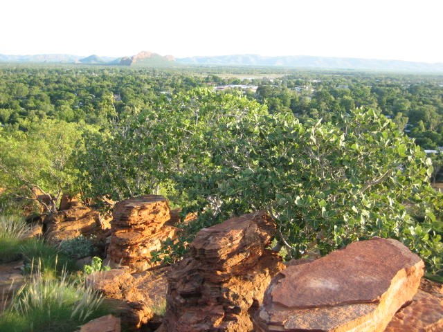 Kununurra in summer from Hidden Valley National Park lookout