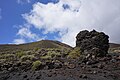* Nomination: La Palma - Lava Rock near Volcán de Teneguía --Imehling 15:20, 5 May 2023 (UTC) * * Review needed