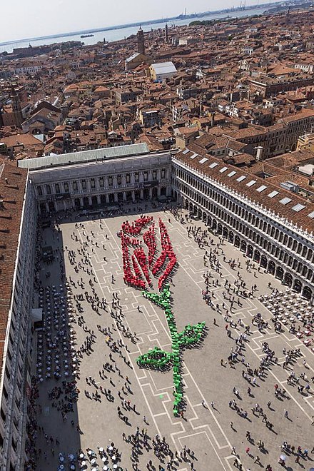 Festa del bocoło (rosebud festival) in St Mark's Square, Venice (Italy)