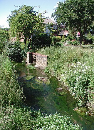 <span class="mw-page-title-main">Welbeck Hill</span>