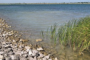 Lake pflugerville 2012.jpg