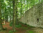 Burg Landeck (Rhön)