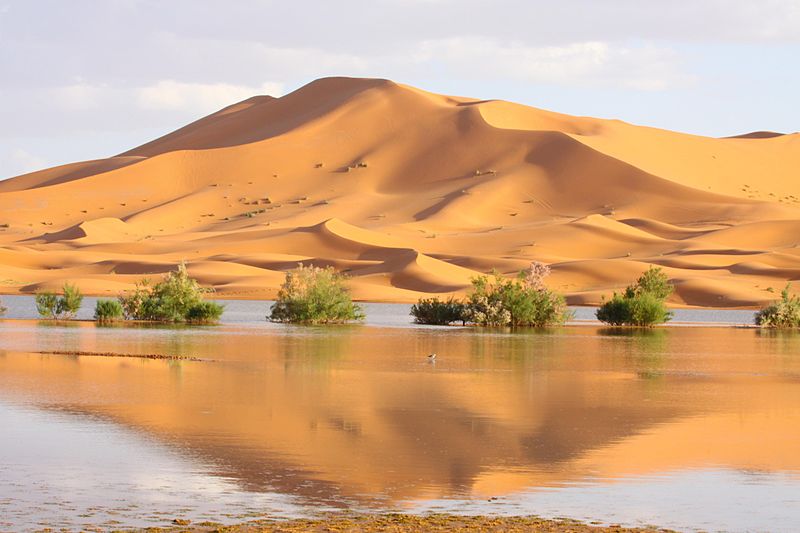 File:Landscape dunes.JPG