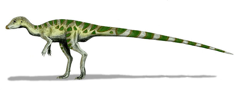 File:Leaellynasaura BW.jpg