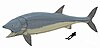 Leedsichthys problematicus.jpg