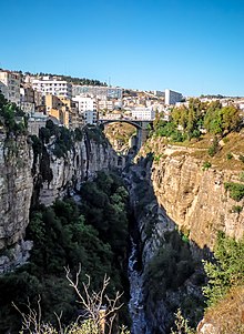 The Rhumel gorges and the El Kantara bridge