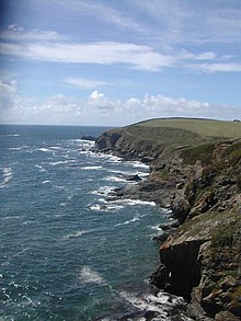 Lizard point.JPG