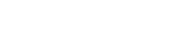 File:Logo Translink white.svg