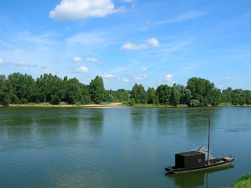 Algue sur bord du sable de Loire, que faire ?