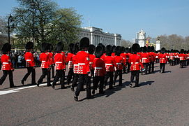 Londres - Palau de Buckingham - Canvi guàrdia