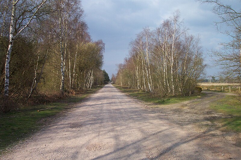 File:Longmoor Military Railway 1.JPG