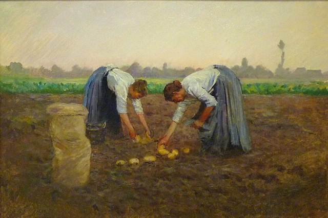 640px-Lothar_von_Seebach-Récolte_des_pommes_de_terre_par_des_femmes.jpg (640×426)