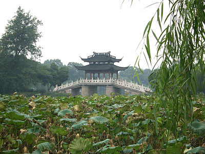 Lotus in the Breeze at the Winding Courtyard