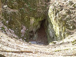 A Lusta-völgyi-barlang bejárata