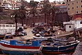 Madeira-Funchal-06-Boote-2000-gje.jpg