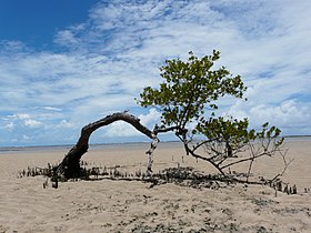 Coasta Boipeba