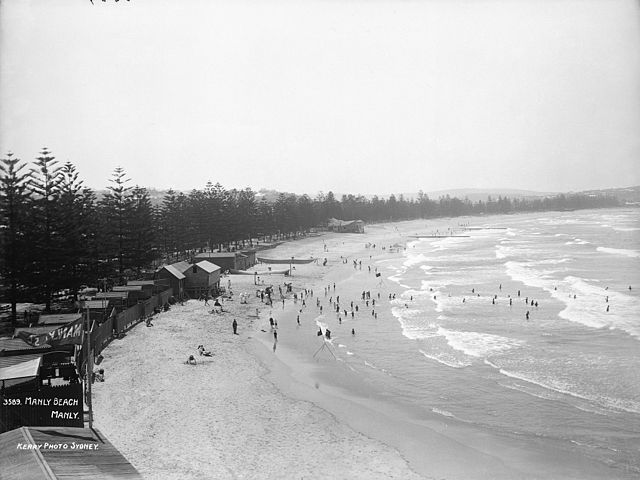 File:Manly_Beach,_Manly_from_The_Powerhouse_Museum.jpg