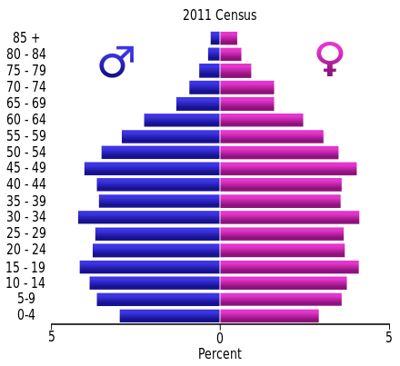 Population pyramid (2011)