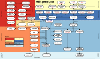<span class="mw-page-title-main">Dairy product</span> Food product made from milk