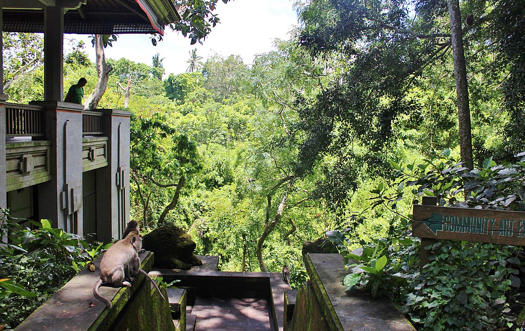 Monkey Forest Ubud, Indonesia - panoramio (8)