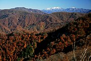 冠山峠から望む紅葉と冠雪した白山