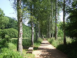 „Johann-Günzel-Allee“-Radweg an der Zwickauer Mulde bei Wolkenburg