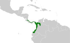 Distribución geográfica de la mosqueta capirotada.