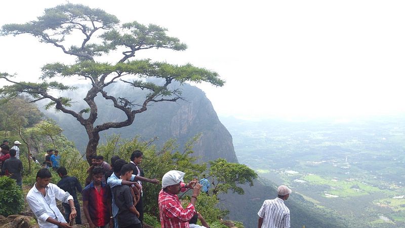 File:Nelliampathi Seethar.jpg