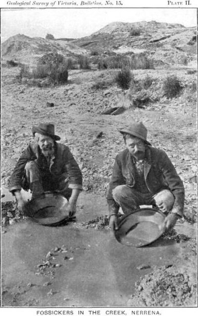 Fossickers in the Nerrena Creek outside Ballarat