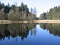 Neukirch en. Holzweiher