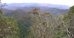 Blick vom Point Lookout, einem Berg im New-England-Nationalpark