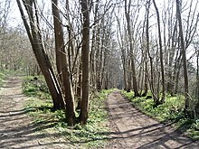 Charing arasındaki North Downs Yolu - Westwell - geograph.org.uk - 385438.jpg