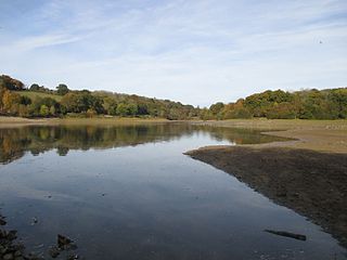 <span class="mw-page-title-main">Ardingly Reservoir</span>