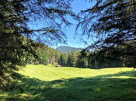 Oberhofer Weißachalm