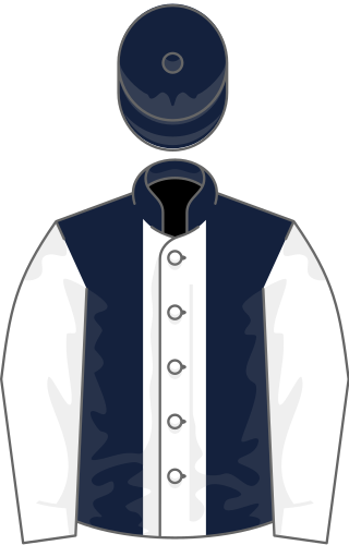 <span class="mw-page-title-main">Cool Dawn</span> Irish racehorse