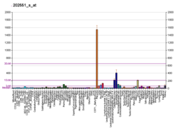 PBB GE CRIM1 202551 s در fs.png