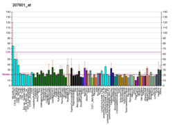 PBB GE SULT1B1 207601, fs.png'de