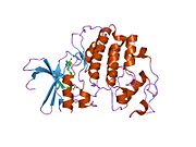 PDB 1oir EBI.jpg