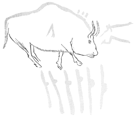 PSM V83 D025 Cave drawing of a wounded bison.png