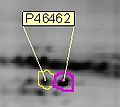 PTM-phosphorylation-example-jepoirrier.jpg
