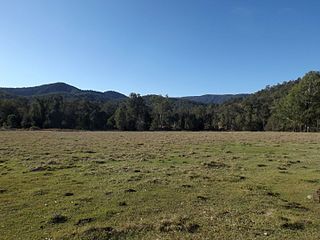 <span class="mw-page-title-main">Mount Byron, Queensland</span> Suburb of Somerset Region, Queensland, Australia