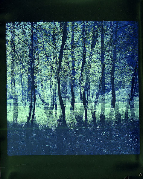 File:Paolo Monti - Serie fotografica - BEIC 6346557.jpg